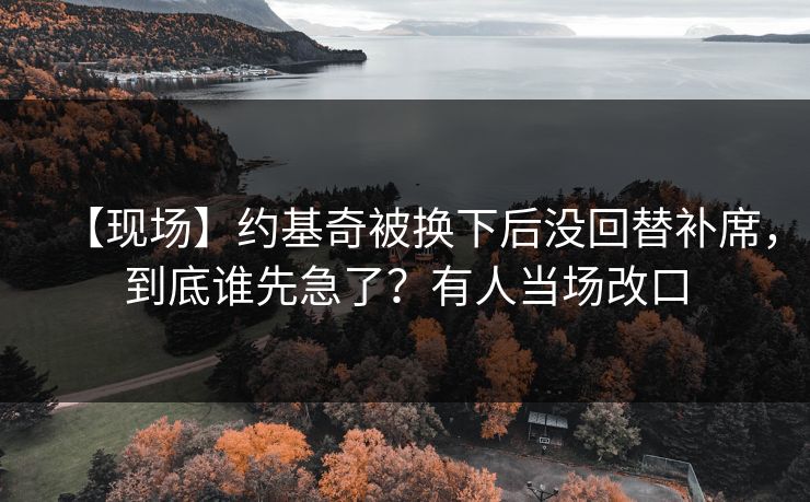 【现场】约基奇被换下后没回替补席，到底谁先急了？有人当场改口